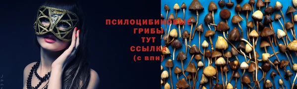 ГАЛЛЮЦИНОГЕННЫЕ ГРИБЫ Богданович