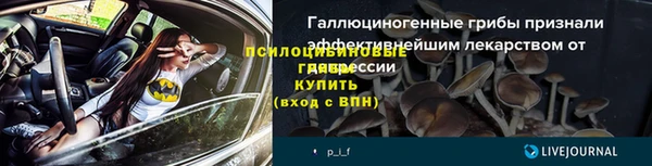 кокс Белокуриха