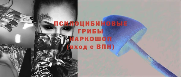 ALPHA PVP Богородицк