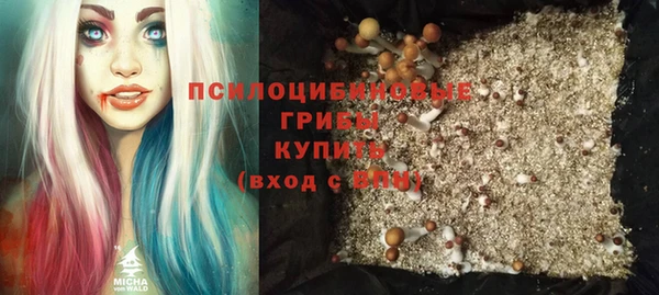ALPHA PVP Богородицк