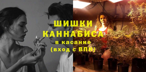 кокс Белокуриха