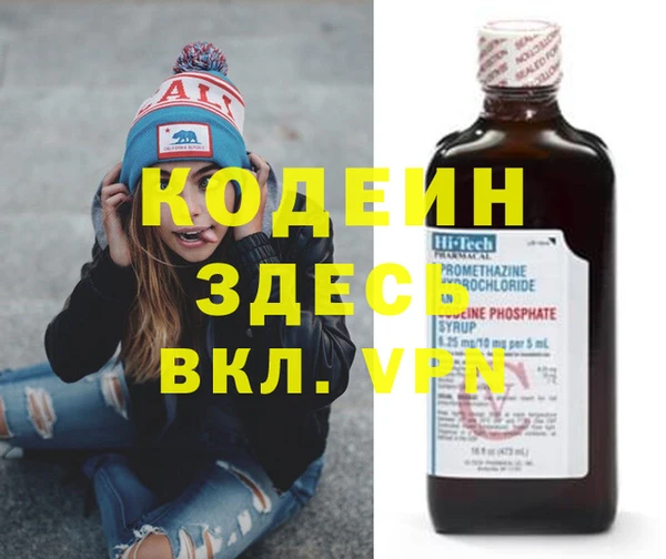 ГАЛЛЮЦИНОГЕННЫЕ ГРИБЫ Богданович