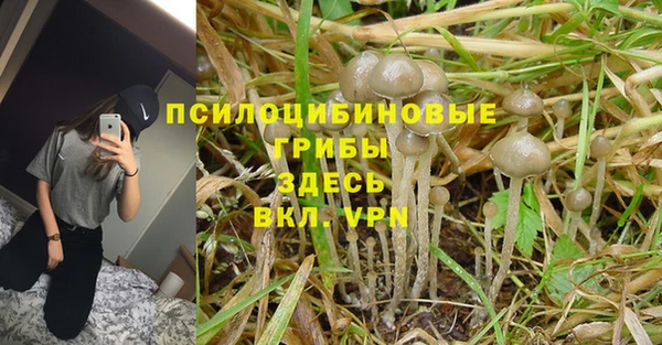 кокс Белокуриха