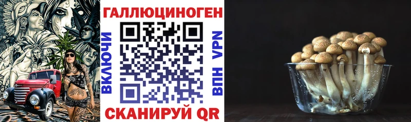 Псилоцибиновые грибы прущие грибы  Сланцы 