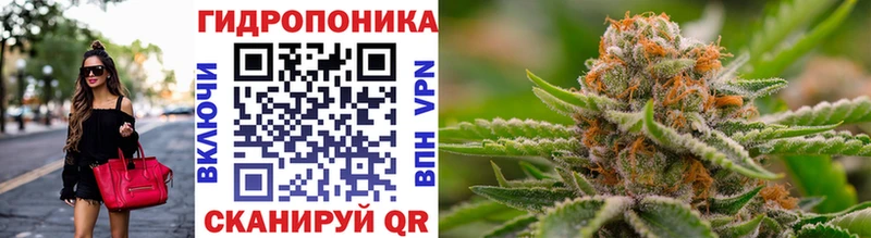 Шишки марихуана Bruce Banner  хочу наркоту  Сланцы 
